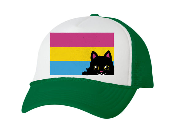 Peeking Cat Pan Flag