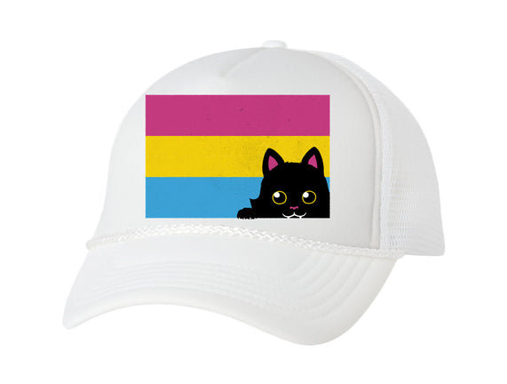 Peeking Cat Pan Flag