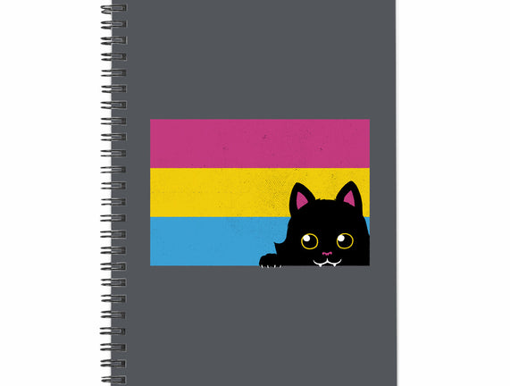 Peeking Cat Pan Flag