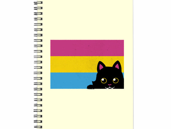 Peeking Cat Pan Flag