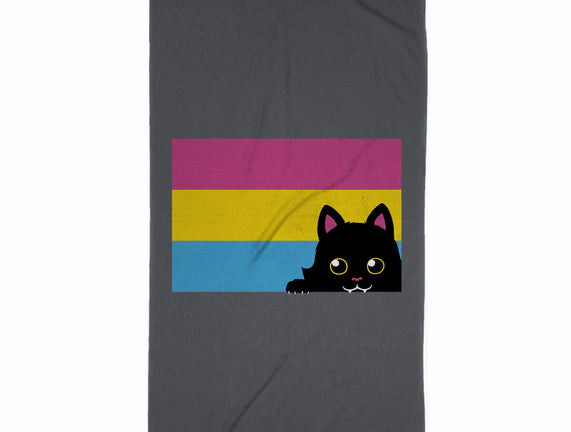 Peeking Cat Pan Flag