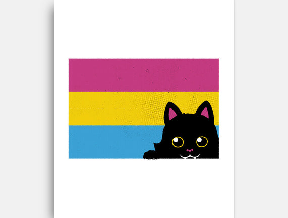 Peeking Cat Pan Flag