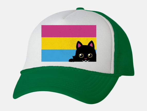 Peeking Cat Pan Flag