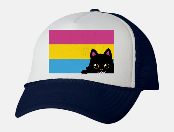 Peeking Cat Pan Flag