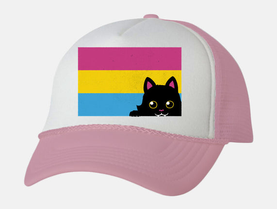 Peeking Cat Pan Flag