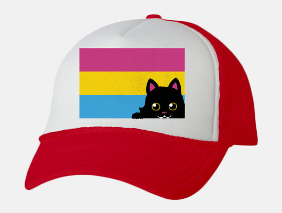 Peeking Cat Pan Flag