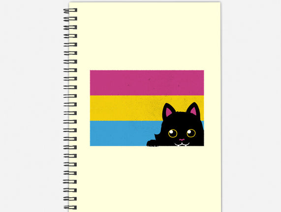 Peeking Cat Pan Flag