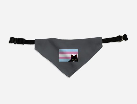 Peeking Cat Trans Flag