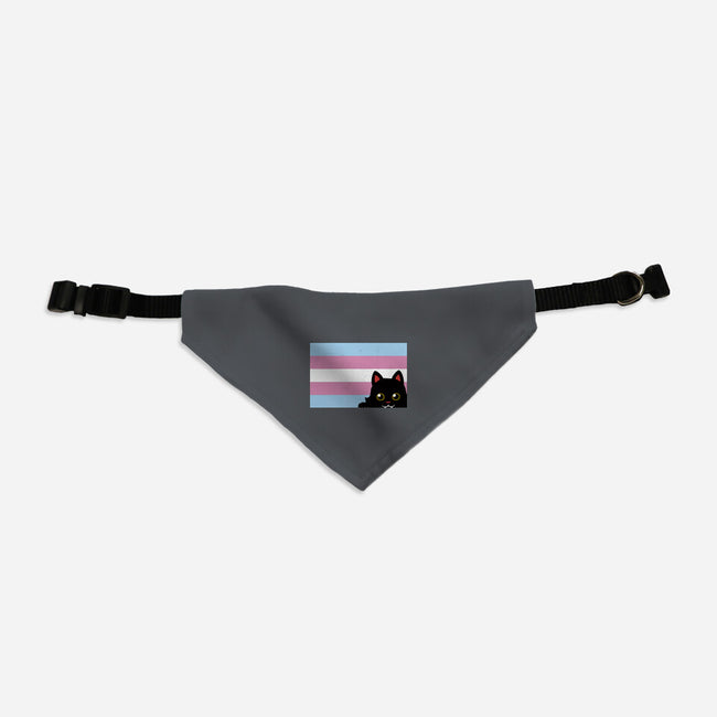 Peeking Cat Trans Flag-Cat-Adjustable-Pet Collar-tobefonseca