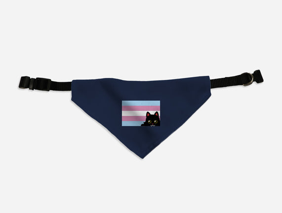 Peeking Cat Trans Flag