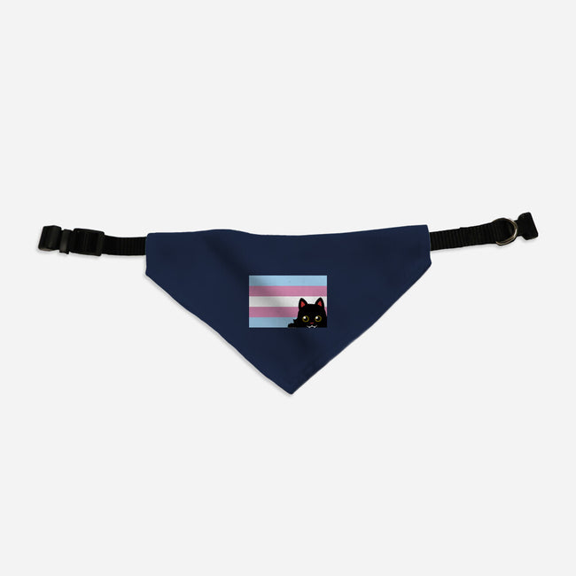 Peeking Cat Trans Flag-Cat-Adjustable-Pet Collar-tobefonseca