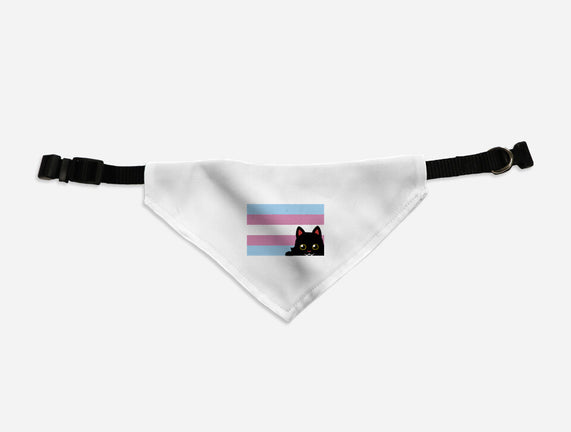 Peeking Cat Trans Flag