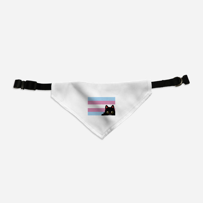 Peeking Cat Trans Flag-Cat-Adjustable-Pet Collar-tobefonseca