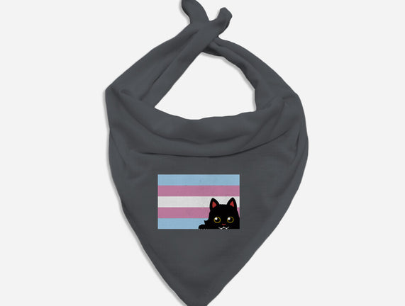 Peeking Cat Trans Flag