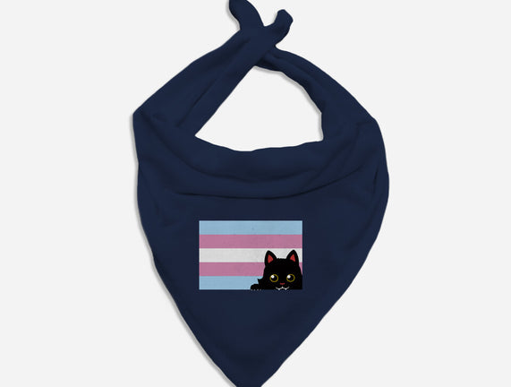 Peeking Cat Trans Flag