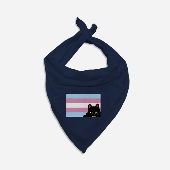 Peeking Cat Trans Flag-Dog-Bandana-Pet Collar-tobefonseca