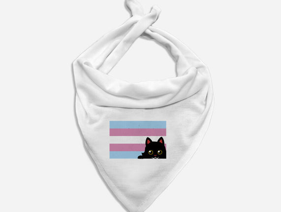 Peeking Cat Trans Flag