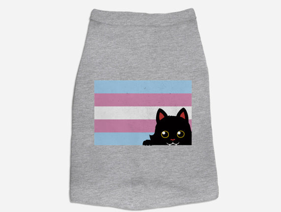 Peeking Cat Trans Flag