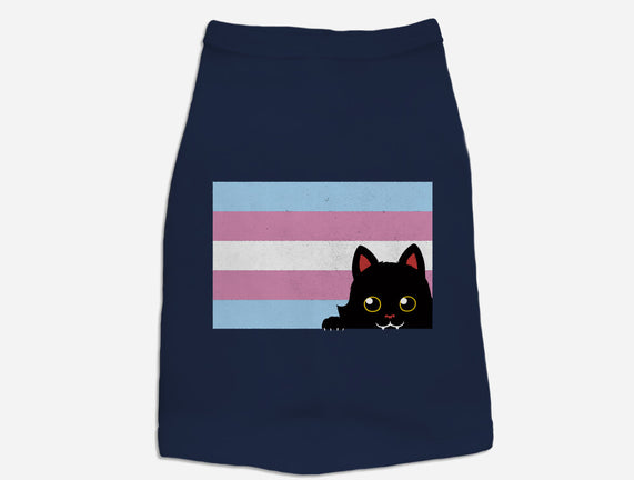 Peeking Cat Trans Flag