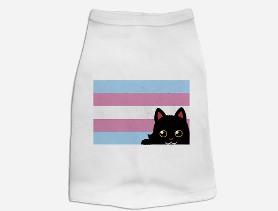 Peeking Cat Trans Flag