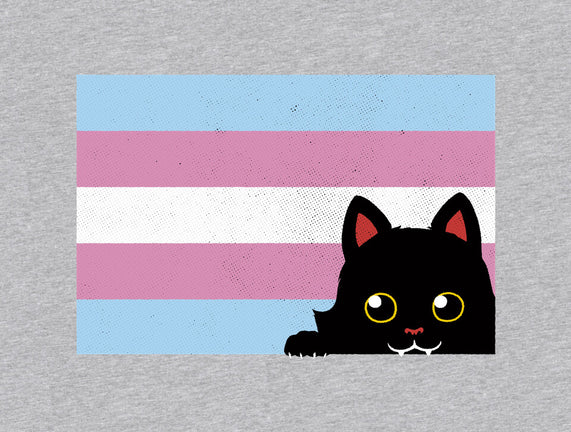 Peeking Cat Trans Flag