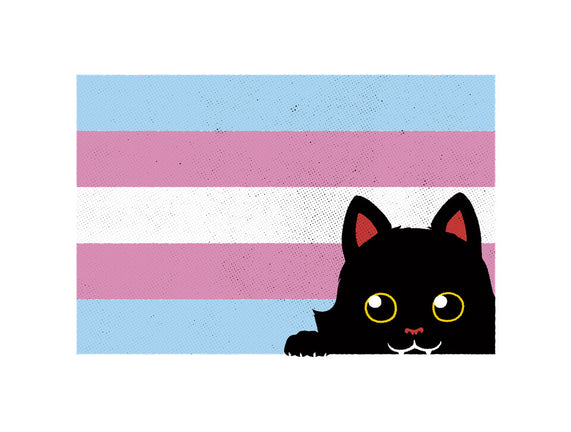 Peeking Cat Trans Flag