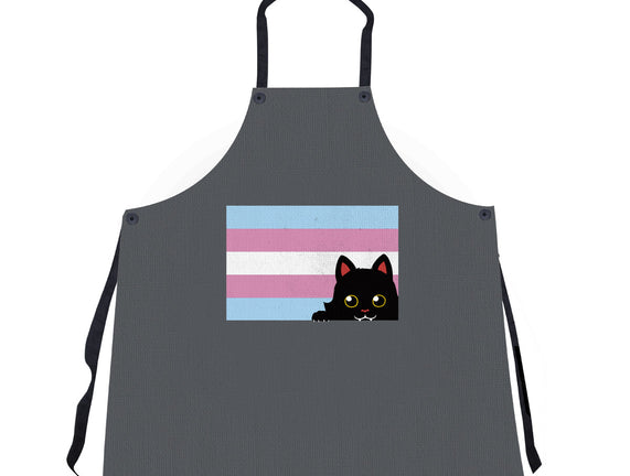 Peeking Cat Trans Flag