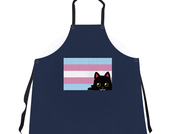 Peeking Cat Trans Flag