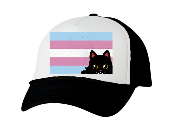 Peeking Cat Trans Flag