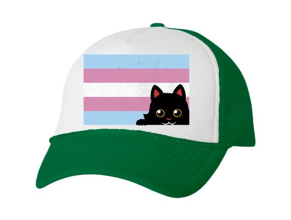 Peeking Cat Trans Flag