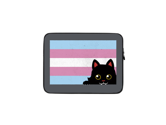 Peeking Cat Trans Flag