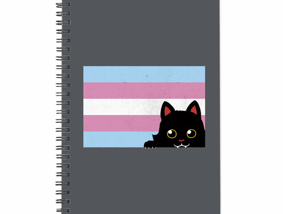 Peeking Cat Trans Flag