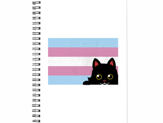 Peeking Cat Trans Flag