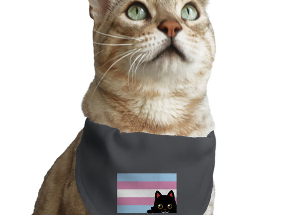 Peeking Cat Trans Flag