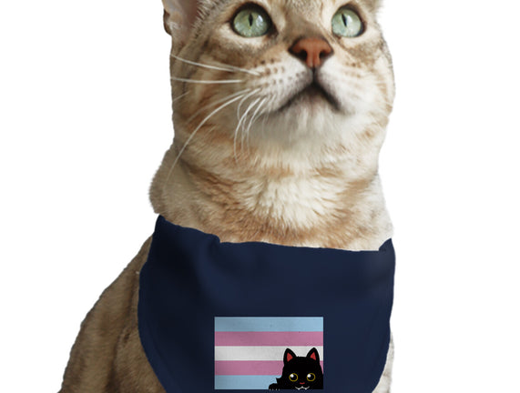 Peeking Cat Trans Flag