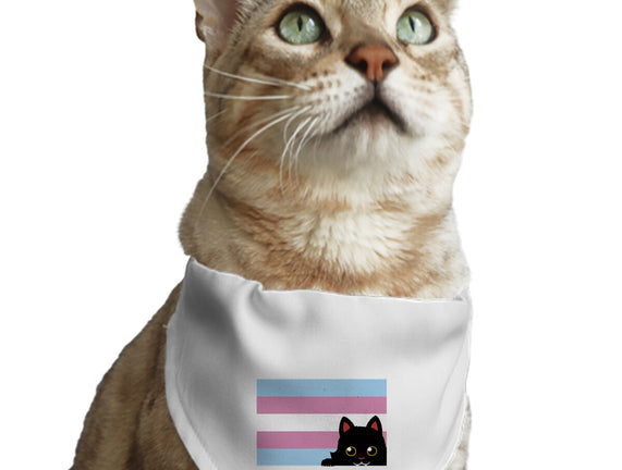 Peeking Cat Trans Flag