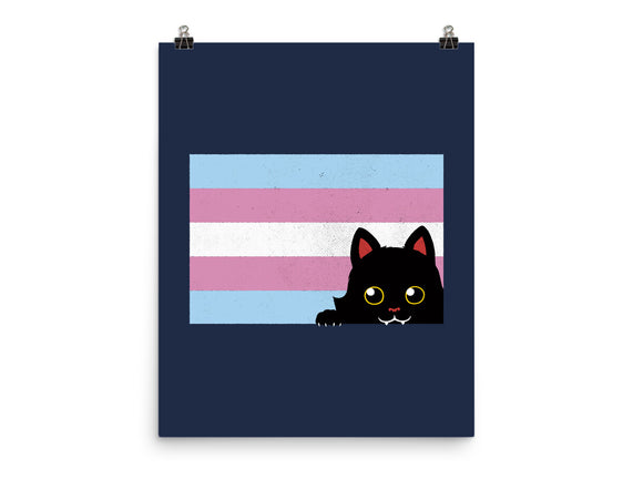 Peeking Cat Trans Flag