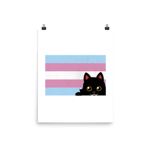 Peeking Cat Trans Flag