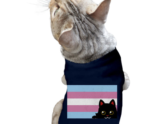 Peeking Cat Trans Flag