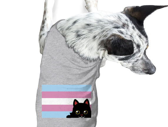 Peeking Cat Trans Flag