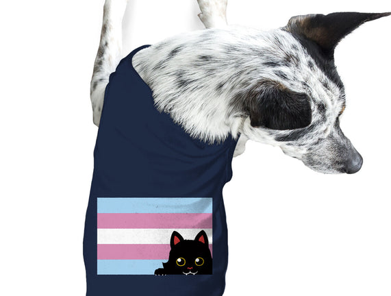 Peeking Cat Trans Flag