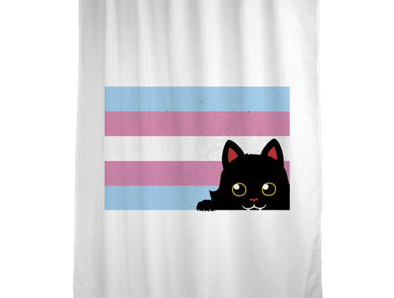 Peeking Cat Trans Flag