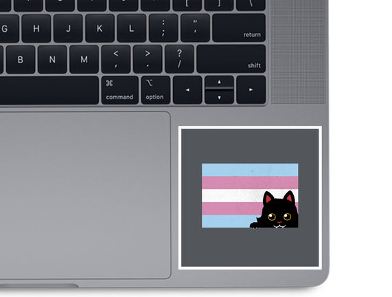 Peeking Cat Trans Flag