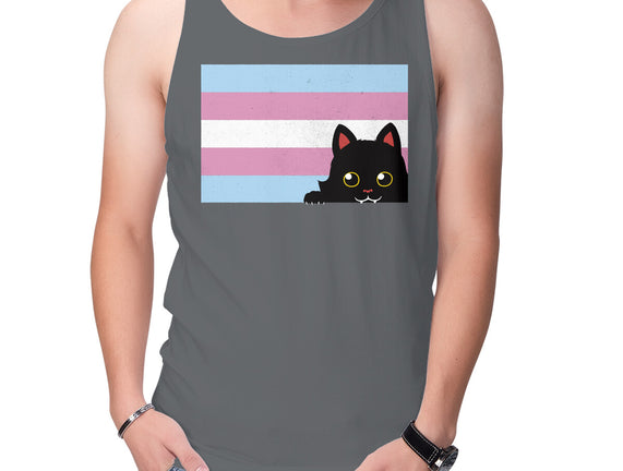 Peeking Cat Trans Flag