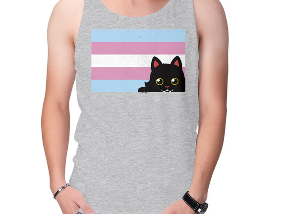 Peeking Cat Trans Flag