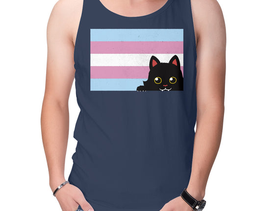 Peeking Cat Trans Flag