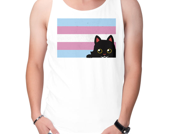 Peeking Cat Trans Flag