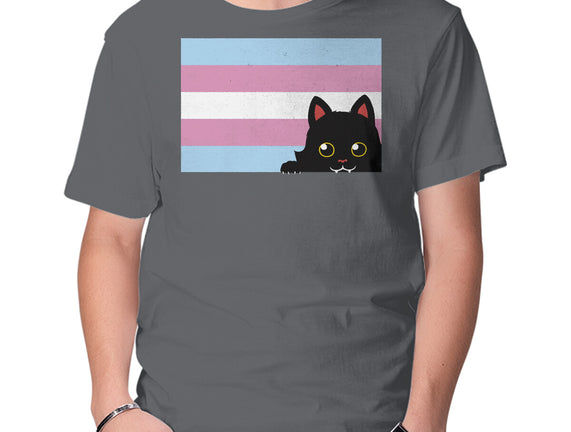 Peeking Cat Trans Flag