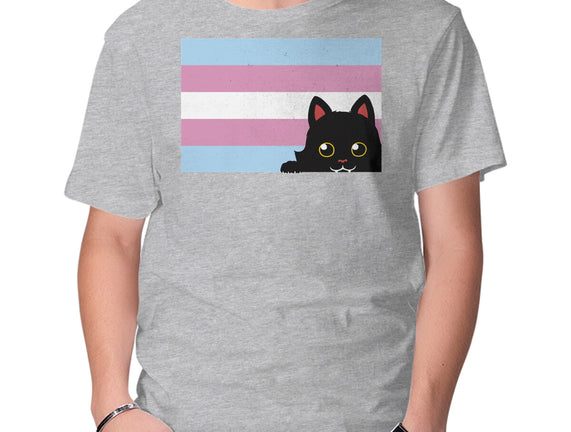 Peeking Cat Trans Flag