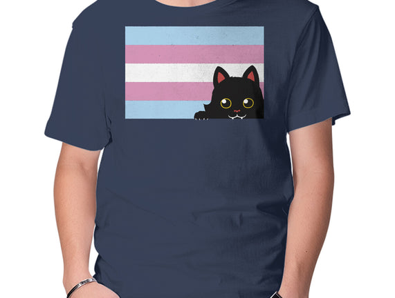 Peeking Cat Trans Flag